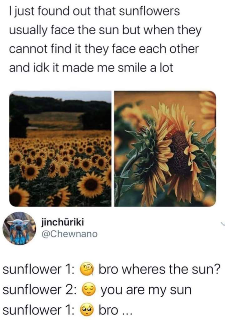Shine bright, bro.