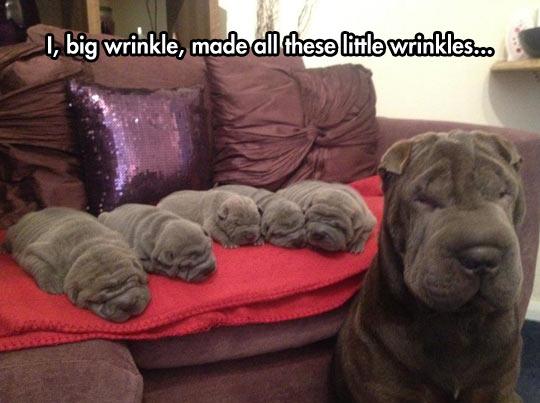 Wrinkle factory