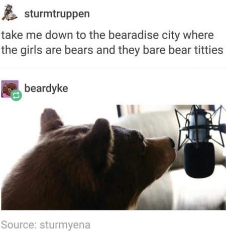 Take Me Down To The Bearadise City