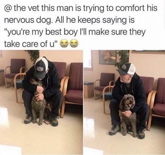 You're my best boy