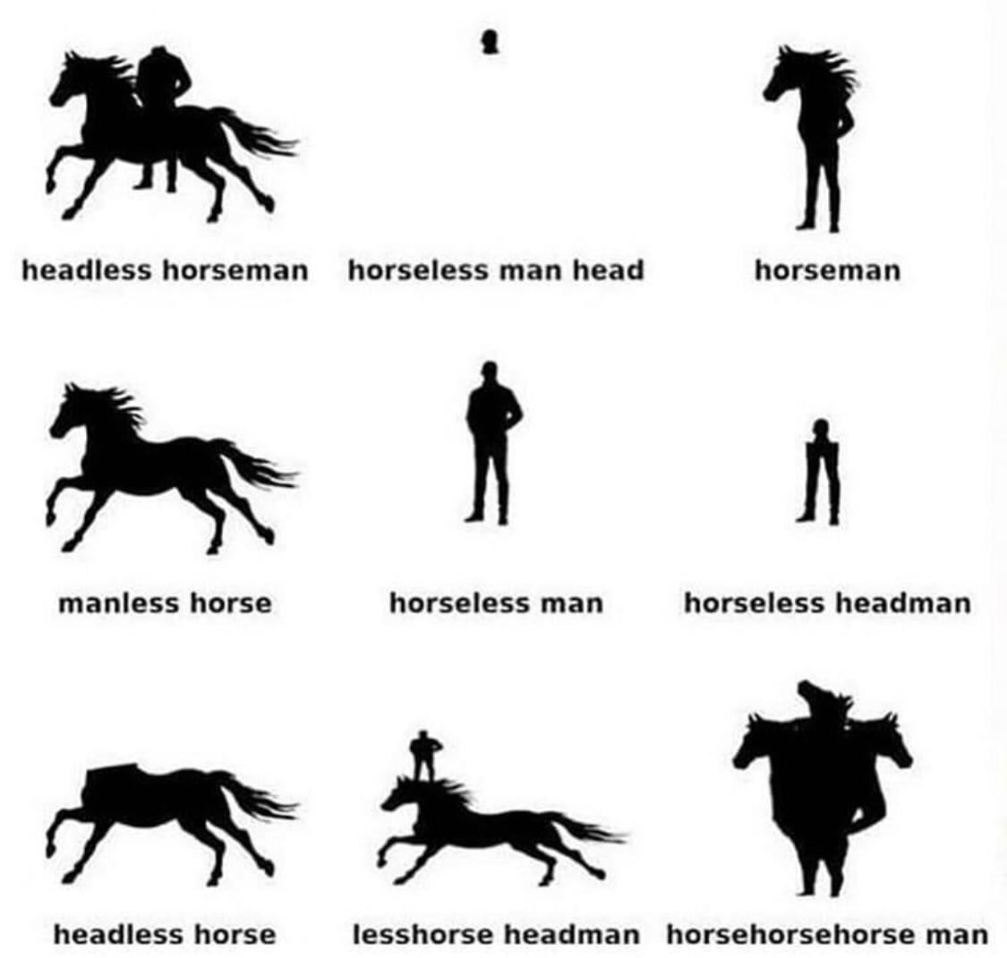 Horses, a History