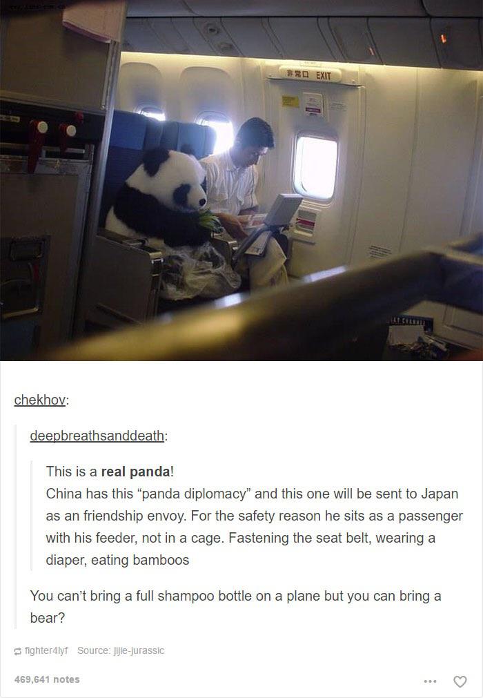 brb, ordering a panda.