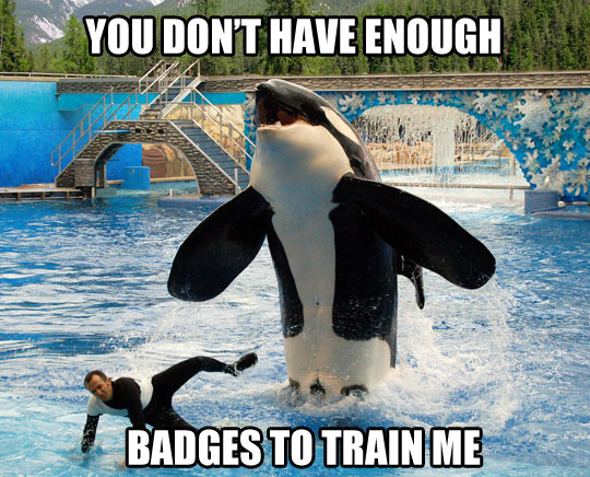 You don't have enough badges to train me!