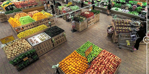 Your Grocery Store In a World With and Without Bees