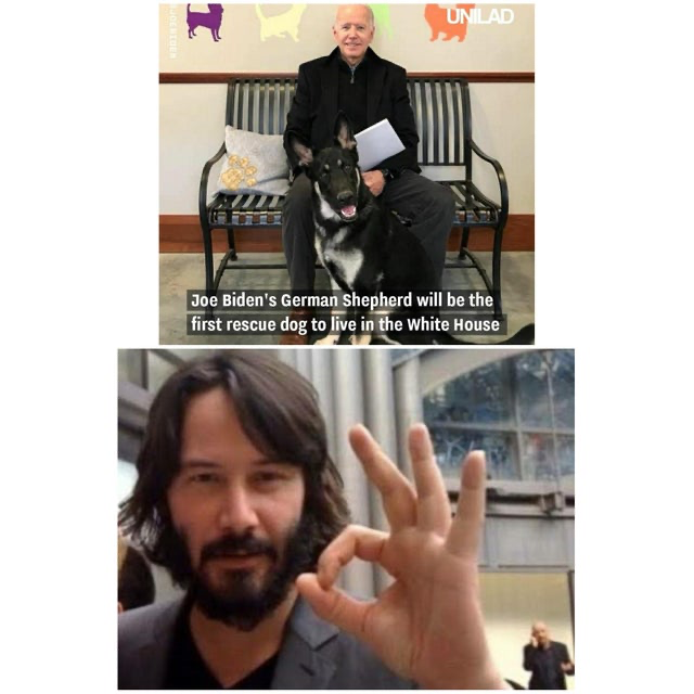 Keanu approved.