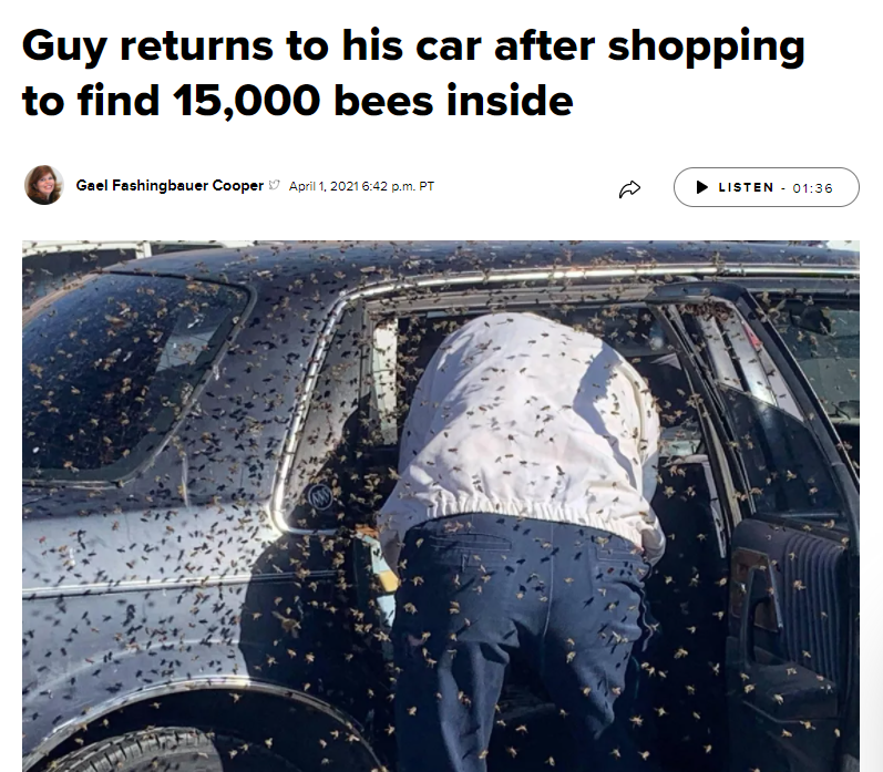 bees bad...?