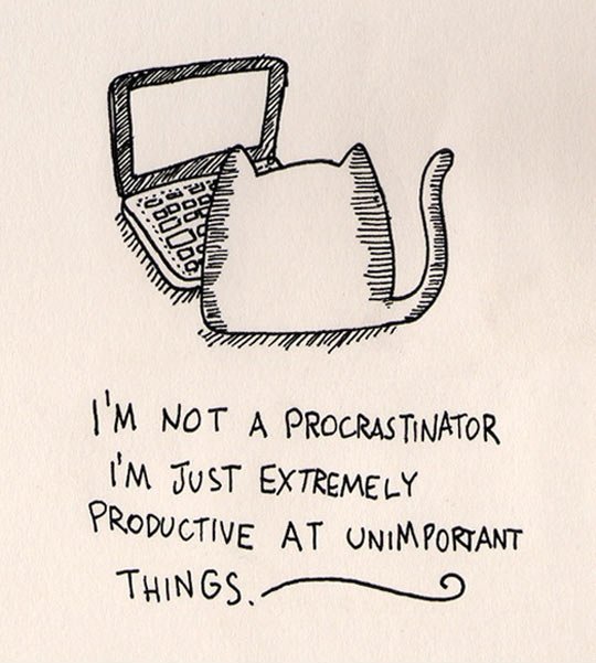 I'm not a procrastinator...