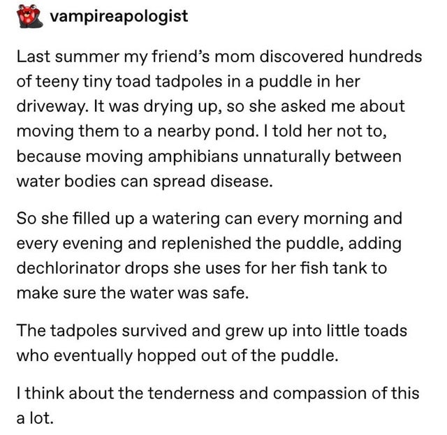 Care for pre-toad.