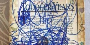 The Toddler Years