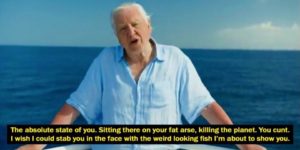 When David Attenborough attacks.