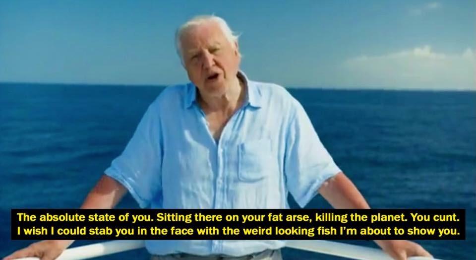 When David Attenborough attacks.