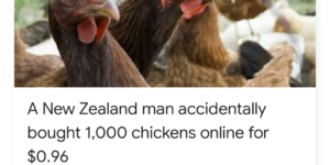 Turns out the chickens are not free.