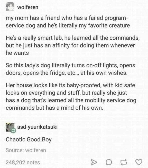 Chaotic good boy