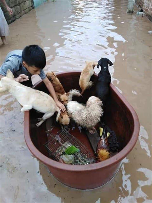 Kid rescues animals from flood after hurricane Willa