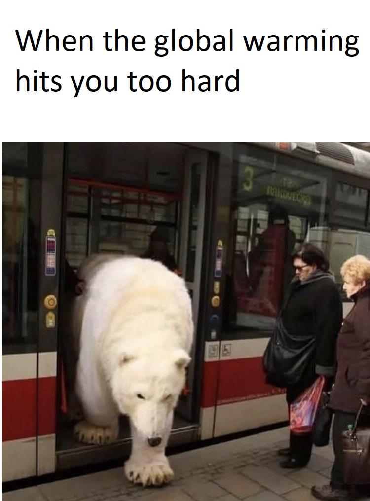 Suddenly Polar Bear Express
