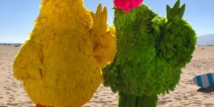 Big Bird has a Mexican counterpart named Abelardo from the programme SÃ©samo