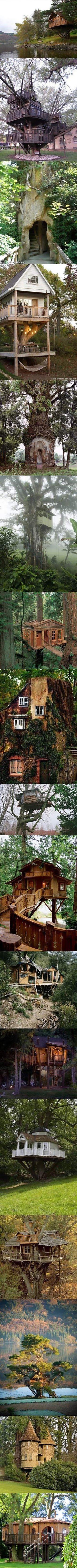 More amazing tree houses.