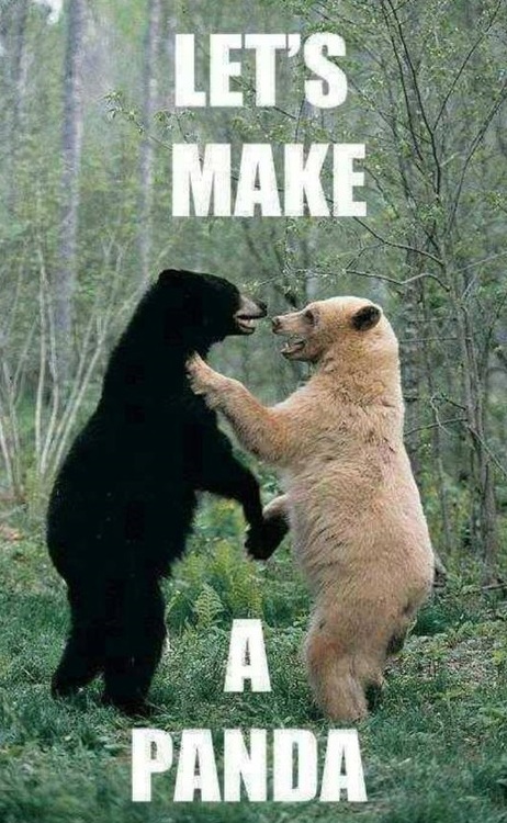 Let's make a panda.