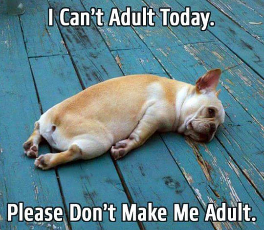 I can't adult today. 