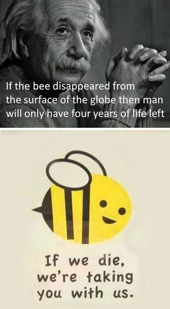 Bye bye bees