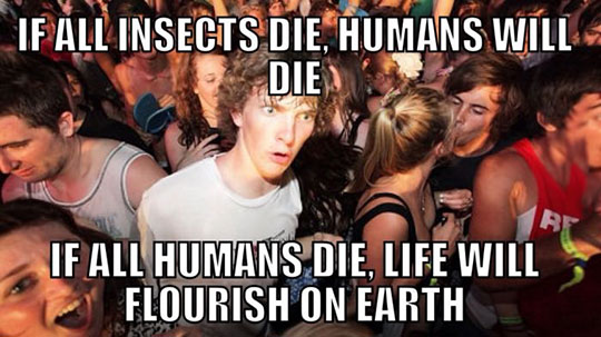 If all insects die...