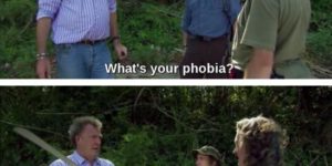A very common phobia