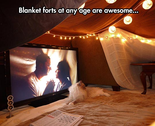 Blanket forts are awesome