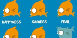 Understand+your+goldfish.