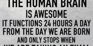 The+human+brain+is+awesome.