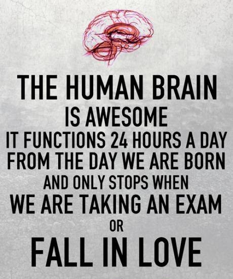 The human brain is awesome.