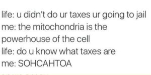 Mitochondria