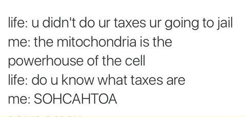 Mitochondria