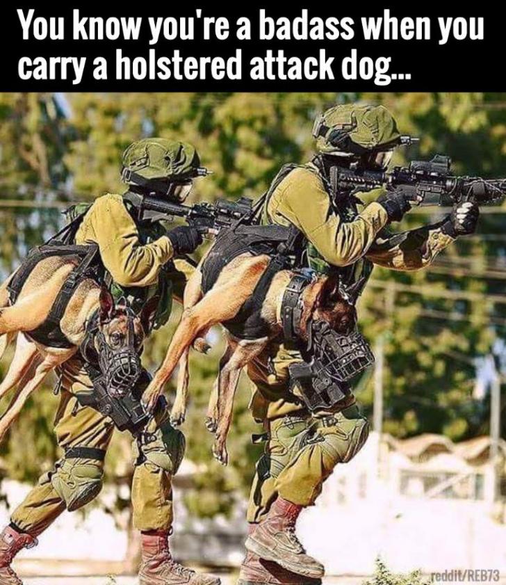 Holstered Attack Dogs.
