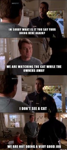 Hal the greatest cat watcher.