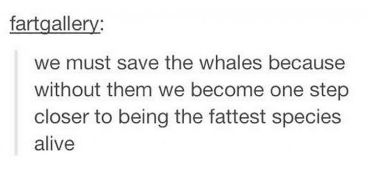 Save the whales