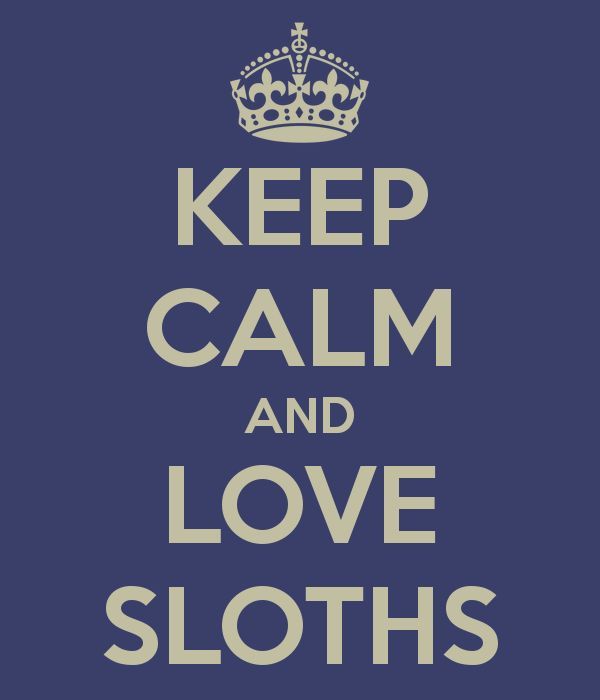 Keep calm and love sloths.