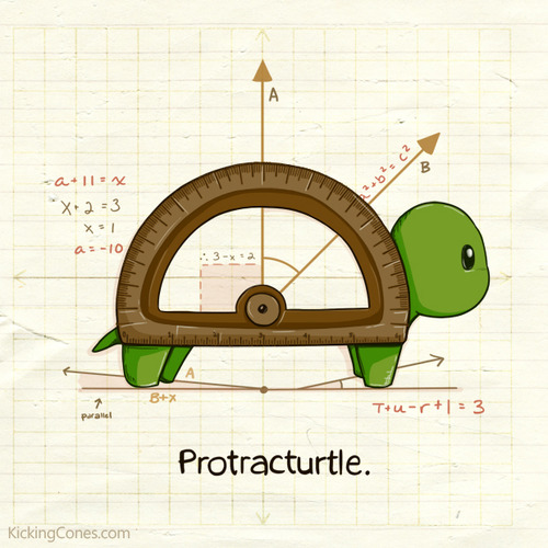 Protracturtle.