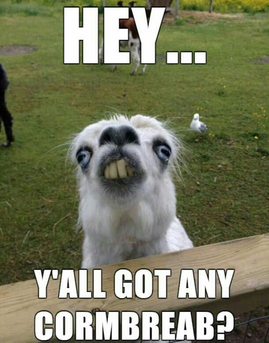 Hey There Friend