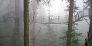 This bridge in Canada looks like it’s in Endor