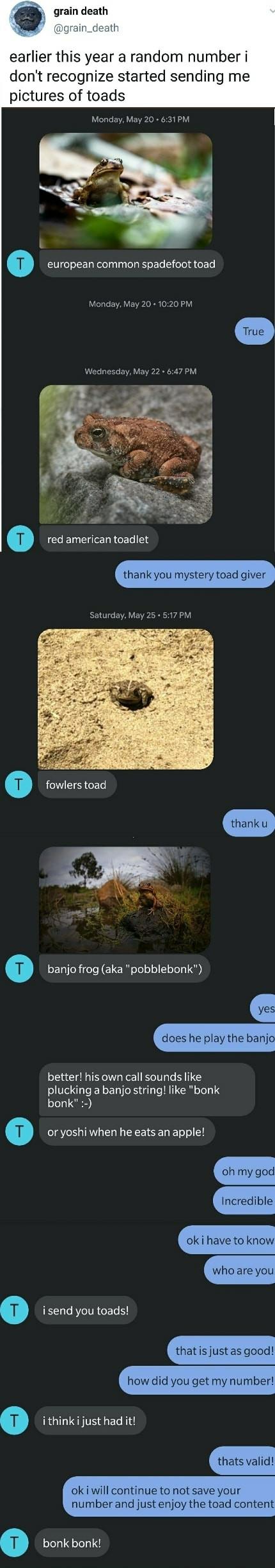 Bless the toad man.