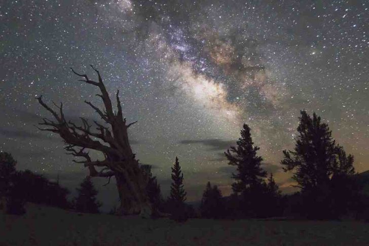 Inyo National Forest