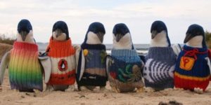 Penguins Casual Fridays
