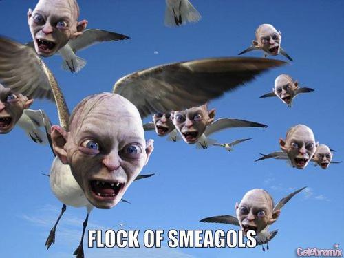 Just a flock of Smeagols...