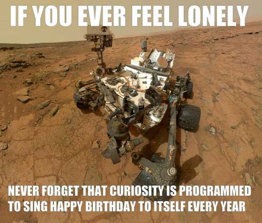 If you ever feel lonely