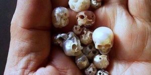 Skulls made from pearls