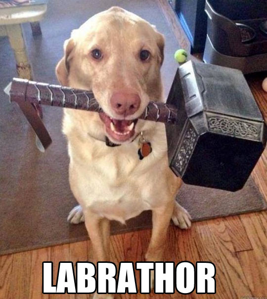 Labrathor.