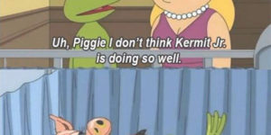 Miss Piggy and Kermit problems…