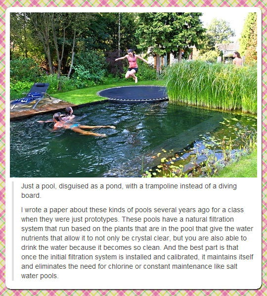 A pool, disguised as a pond.