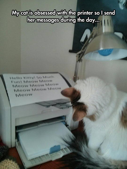 I send my cat messages via the printer.