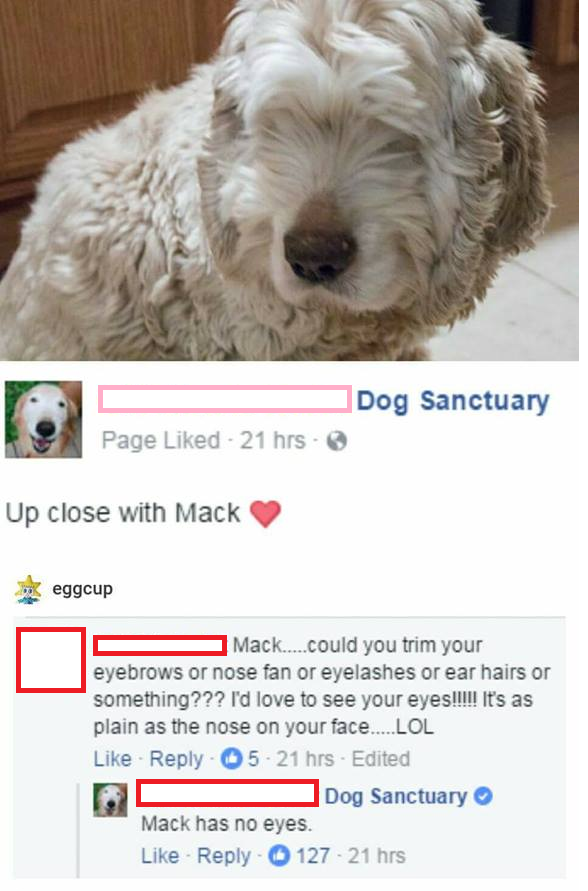 Up close with Mack